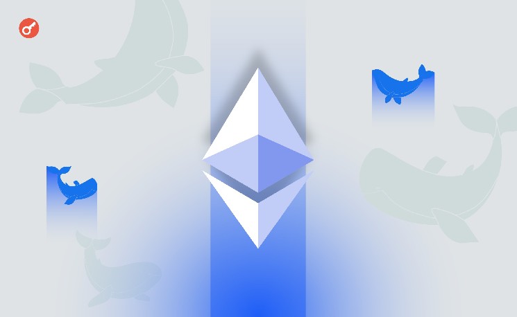 
			Количество Ethereum-китов выросло на фоне скачка активности в сети		